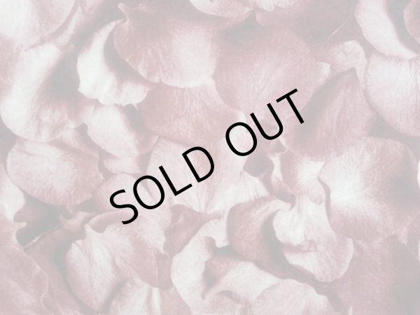 画像2: （咲くらオリジナル）　ローズペタルカーペット　レッド　Sサイズ (2)